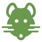 A simple green icon of a mouses face, featuring round ears, circular eyes, a small nose, and three whiskers on each side, all set against a light background.