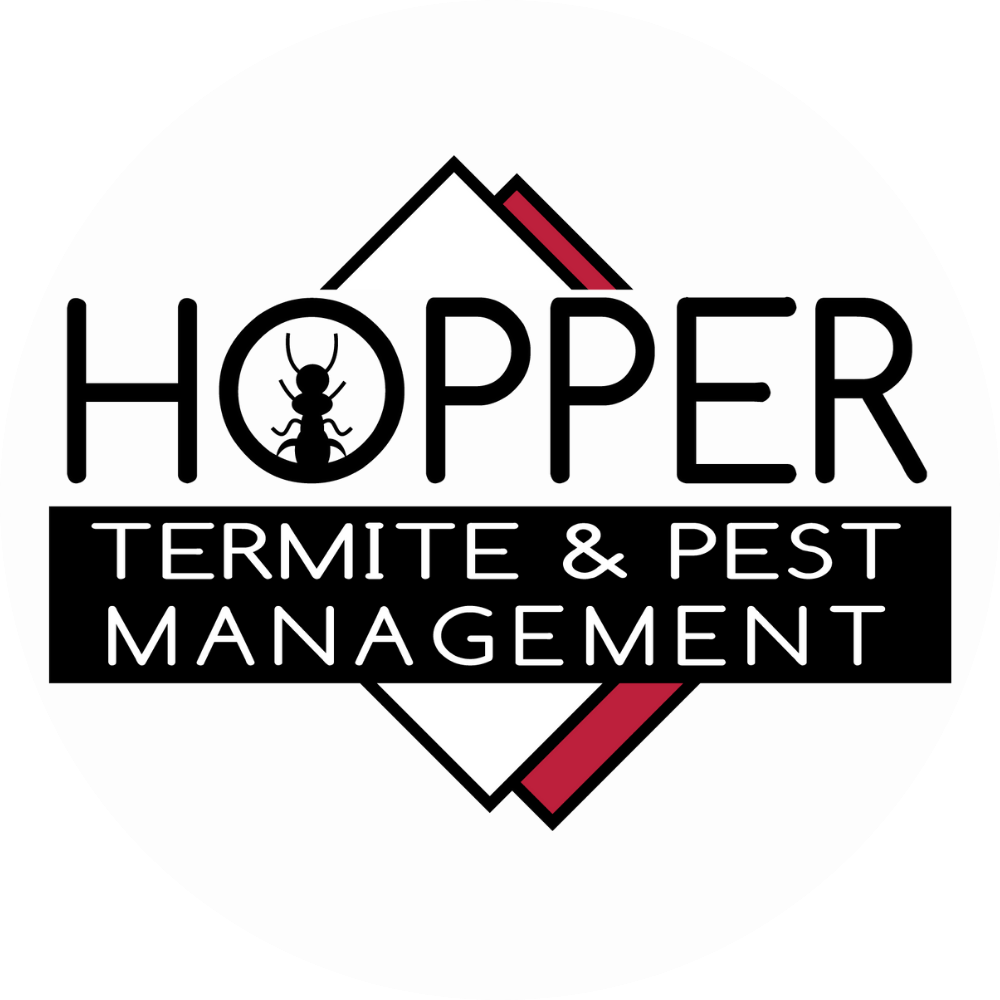 Logo for Hopper Termite & Pest Management. The word Hopper has an ant silhouette inside the first O. Below is a black rectangle with Termite & Pest Management in white text. Geometric red and black shapes are in the background.
